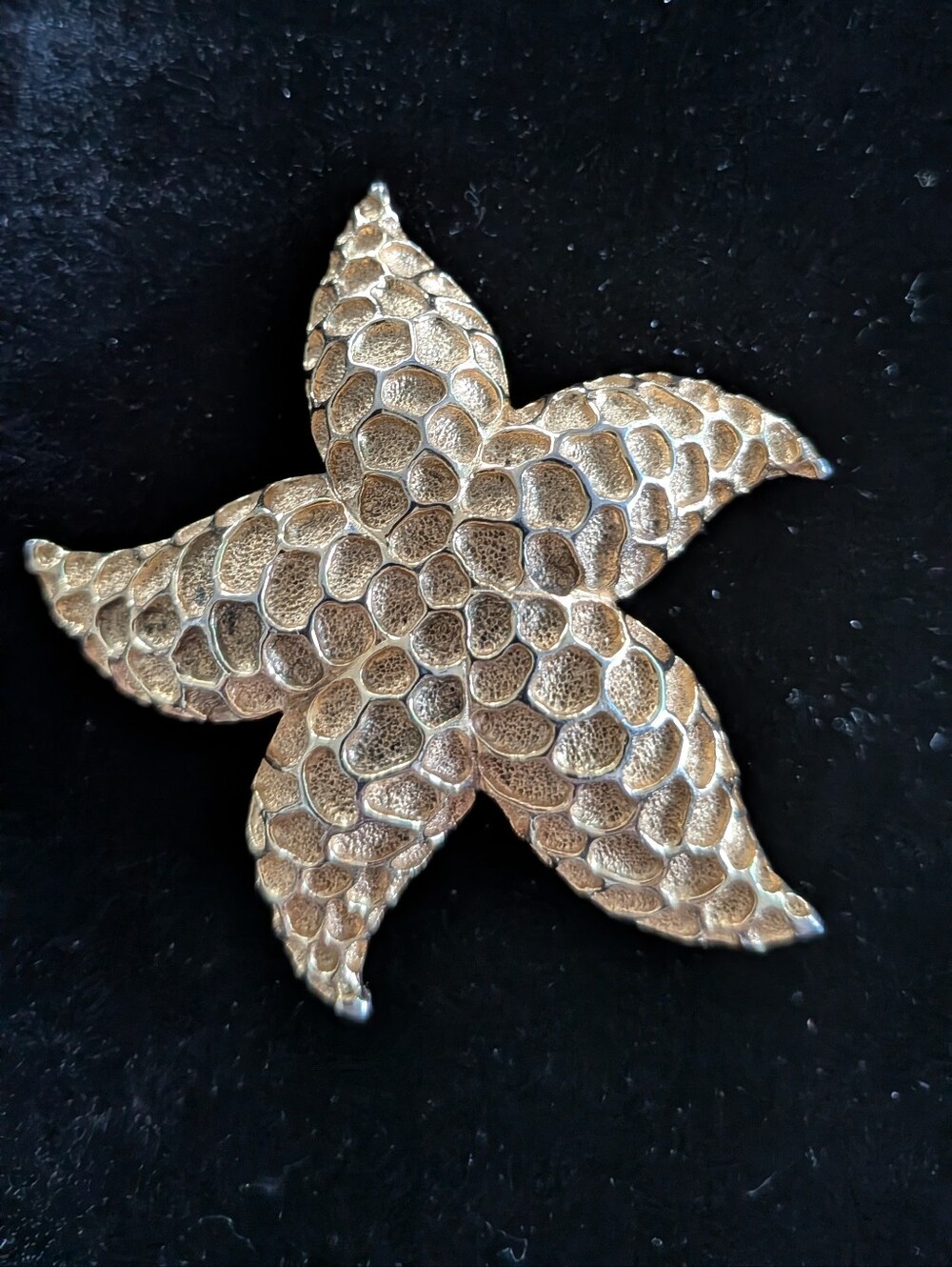 Coro Starfish